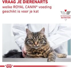 Royal Canin Renal - Tonijn - Kattenvoer - 12 X 85 G 19 Royal Canin Renal - Tonijn - Kattenvoer - 12 X 85 G -Huisdier Verkoop 1200x1161 19