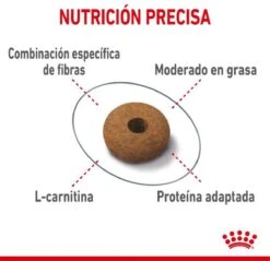 Royal Canin Appetite Control Care - Kattenvoer - 2 Kg -Huisdier Verkoop 1200x1162 13