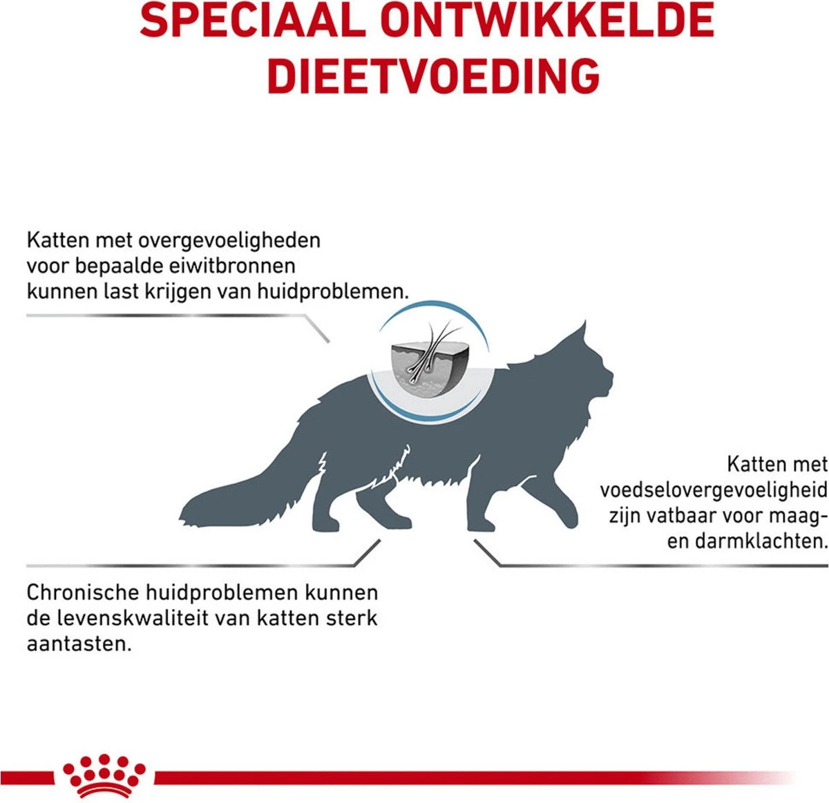 Royal Canin Veterinary Diet Cat Anallergenic - Kattenvoer - 4 Kg 4 Royal Canin Veterinary Diet Cat Anallergenic - Kattenvoer - 4 Kg - Afbeelding 2