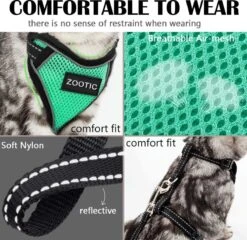 Kattentuigje Met Leiband Riem Kattenharnas Groen Maat L Kat & Kitten - Dieren Kattenriem - Cat Leash - Halsomvang 24 Tot 33cm - Borstomvang 36 Tot 41cm - Zootic® 17 Kattentuigje Met Leiband Riem Kattenharnas Groen Maat L Kat & Kitten - Dieren Kattenriem - Cat Leash - Halsomvang 24 Tot 33cm - Borstomvang 36 Tot 41cm - Zootic® -Huisdier Verkoop 1200x1164 15