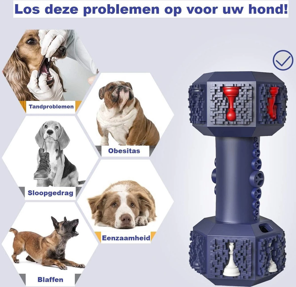 PetPetrol Honden Speelgoed -Dumbbell -Geschikt Voor Kleine En Middelgrote Honden- Tanden Schoonmaken- Kauwen- Haltervorm- Blauw- Natuurrubber Met Ananas Smaak 6 PetPetrol Honden Speelgoed -Dumbbell -Geschikt Voor Kleine En Middelgrote Honden- Tanden Schoonmaken- Kauwen- Haltervorm- Blauw- Natuurrubber Met Ananas Smaak - Afbeelding 4