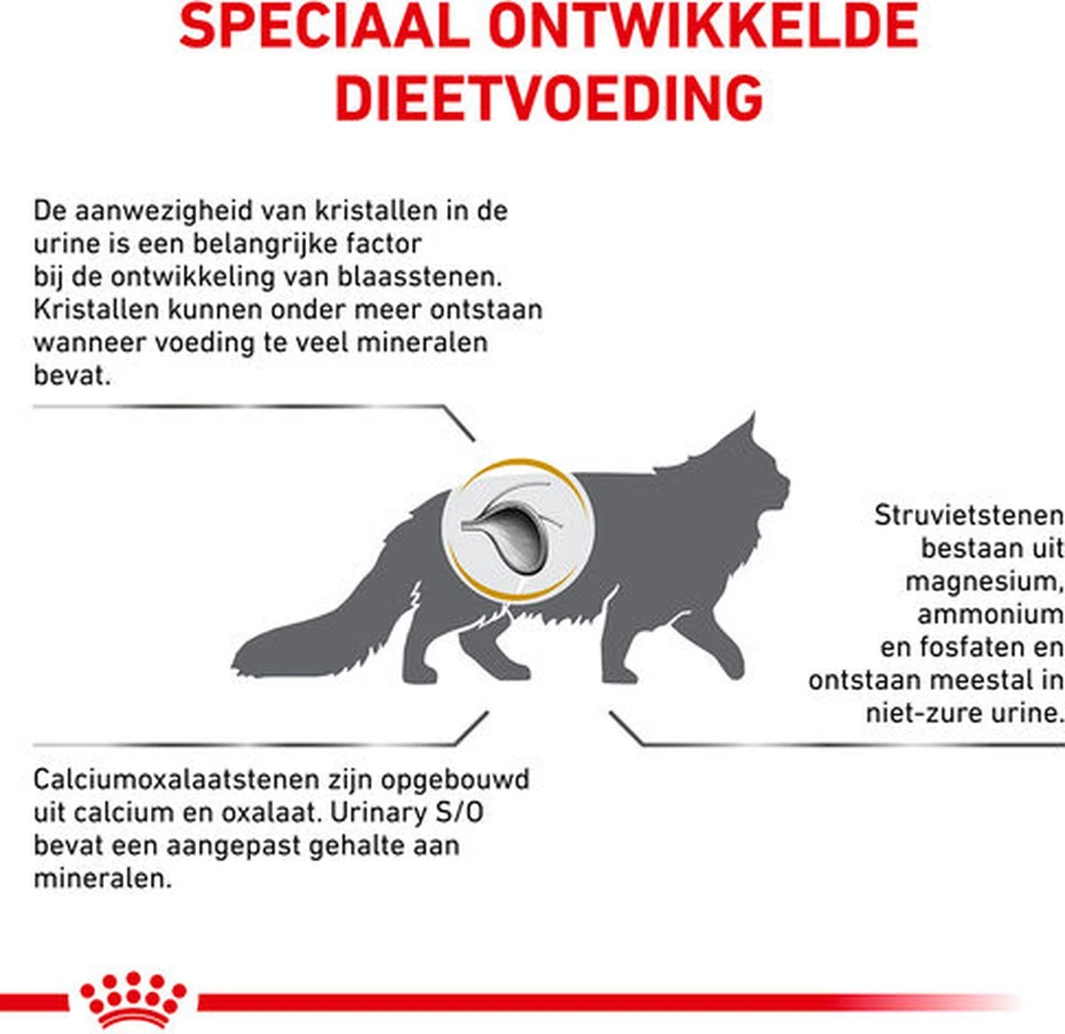 Royal Canin Urinary S/O Kat - Morsels In Gravy - 24 X 85 Gram 4 Royal Canin Urinary S/O Kat - Morsels In Gravy - 24 X 85 Gram - Afbeelding 2