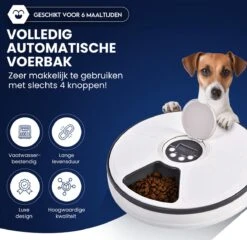 Quality4Less™ - Automatische Voerbak Kat En Hond - Volledig Automatisch - 6 Verschillende Maaltijden - Wit - Inclusief Batterijen -Huisdier Verkoop 1200x1166 11