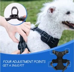 Nobleza 42ZHY - Hondenharnas - Hondentuigje - Anti Trek - L - Zwart -Huisdier Verkoop 1200x1166 18
