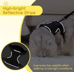 Nobleza Kattenharnas M Reflecterend Zwart Met Riem -Huisdier Verkoop 1200x1166 26