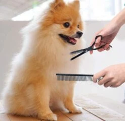 Petsify - Professionele 8-delige Huisdier Knipset - Effileerschaar Hond - Kam Hond - Schaar Hond - Katten Kam - Hondenschaar - Trimschaar Voor Honden - Kapperset - Zwart -Huisdier Verkoop 1200x1166 3