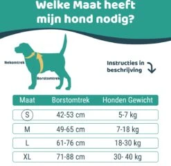 Mmoods Hondentuigje Grijs - Anti-Trek Tuig Voor Puppy's - Hondenharnas Voor Kleine Honden - Reflecterende Halsband Hond - Hondenhalsband Maat S 13 Mmoods Hondentuigje Grijs - Anti-Trek Tuig Voor Puppy's - Hondenharnas Voor Kleine Honden - Reflecterende Halsband Hond - Hondenhalsband Maat S -Huisdier Verkoop 1200x1167 11