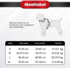 Purrr Fect Hondentuigje - Anti-Trek Tuig - Hondenharnas - Y Tuig Hond - Waterproof - Reflecterend - Verstelbaar - Maat M -Huisdier Verkoop 1200x1167 14