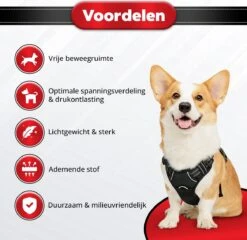 Purrr Fect Hondentuigje - Anti-Trek Tuig - Hondenharnas - Y Tuig Hond - Waterproof - Reflecterend - Verstelbaar - Maat M -Huisdier Verkoop 1200x1167 16