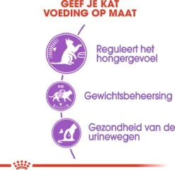 Royal Canin Appetite Control Care - Kattenvoer - 2 Kg -Huisdier Verkoop 1200x1167 37