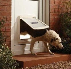 Staywell 777 Hondenluik - Large - Zilver/Tranparant -Huisdier Verkoop 1200x1168 8