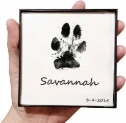 Merkloos Paw Print Pad - Pootafdruk Maken Van Hond Of Kat -Huisdier Verkoop 1200x1169 12