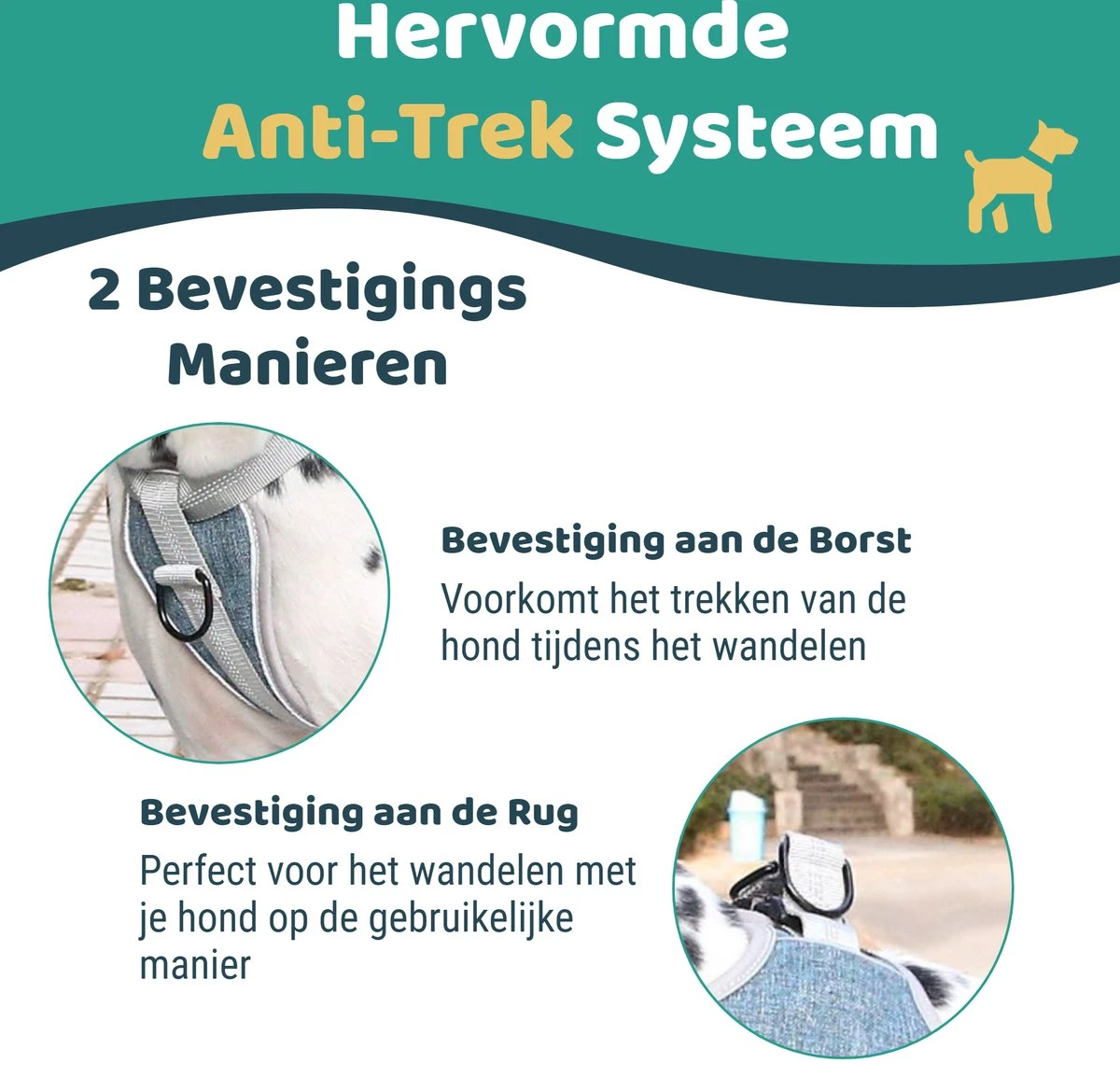 Mmoods Hondentuigje Grijs - Anti-Trek Tuig Voor Puppy's - Hondenharnas Voor Kleine Honden - Reflecterende Halsband Hond - Hondenhalsband Maat S 5 Mmoods Hondentuigje Grijs - Anti-Trek Tuig Voor Puppy's - Hondenharnas Voor Kleine Honden - Reflecterende Halsband Hond - Hondenhalsband Maat S - Afbeelding 3