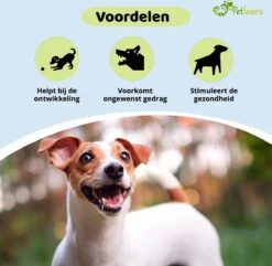 Petloverz Ballen Set - Honden Speelgoed - Intelligentie - Ballen - 6 Stuks 9 Petloverz Ballen Set - Honden Speelgoed - Intelligentie - Ballen - 6 Stuks -Huisdier Verkoop 1200x1170 14
