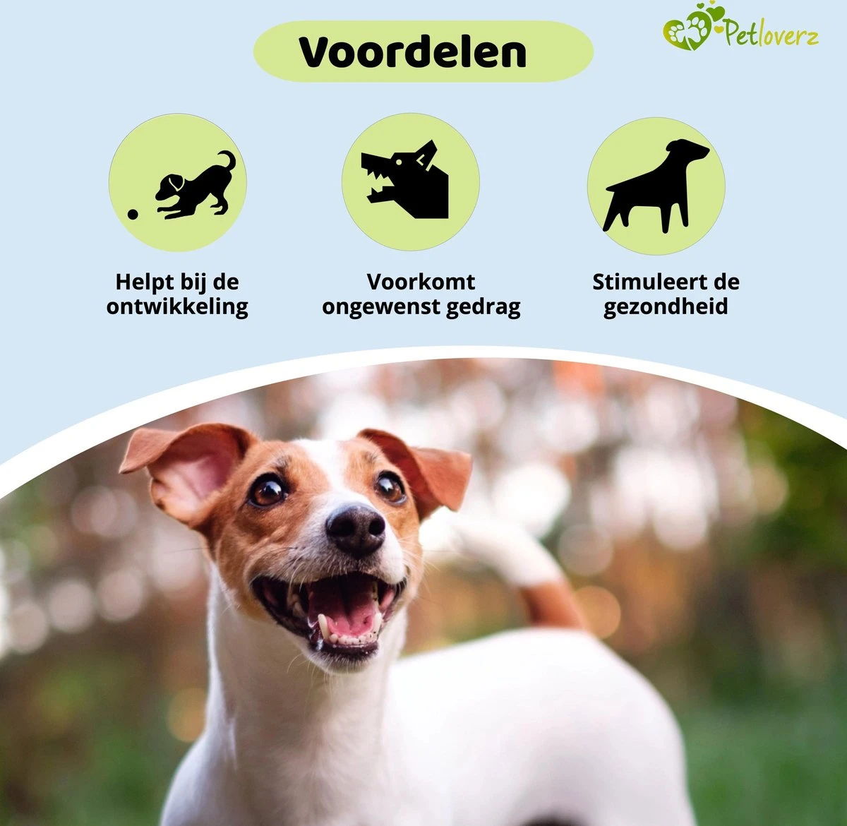 Petloverz Ballen Set - Honden Speelgoed - Intelligentie - Ballen - 6 Stuks 5 Petloverz Ballen Set - Honden Speelgoed - Intelligentie - Ballen - 6 Stuks - Afbeelding 3