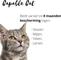 Capable Cat Vlooienband Kat | Vlooien | Luizen | Teken | Mijten | 8 Maanden Bescherming | Katten 10 Capable Cat Vlooienband Kat | Vlooien | Luizen | Teken | Mijten | 8 Maanden Bescherming | Katten -Huisdier Verkoop 1200x1170 22