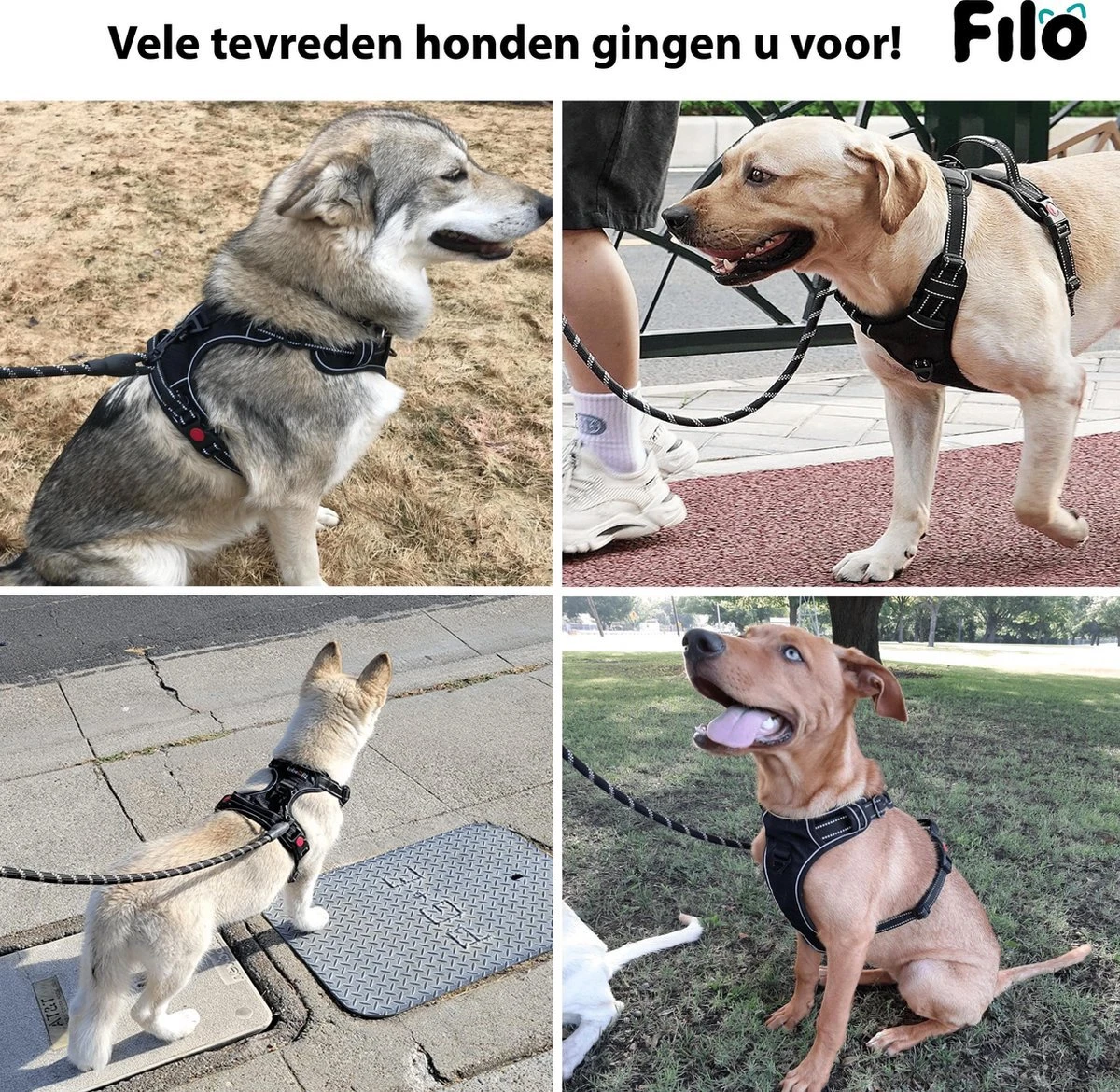 Filo Anti Trek Hondentuig L Met Hondenriem - Y Tuig Hond - Easy Walk Hondenharnas Large + Hondenlijn - Hondentuigje Verstelbaar - Leiband - Honden Tuigje - Riem 7 Filo Anti Trek Hondentuig L Met Hondenriem - Y Tuig Hond - Easy Walk Hondenharnas Large + Hondenlijn - Hondentuigje Verstelbaar - Leiband - Honden Tuigje - Riem - Afbeelding 5