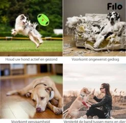 Filo Honden Speelgoed Set 14 Stuks - Hondenspeeltjes Knuffel - Hondenbal - Flostouw - Bot - Frisbee - Hondentouw - Hondenspeelgoed Intelligentie - Kauwspeelgoed Hond En Puppy - Bijtspeelgoed Hondenknuffel - Hondenspeeltje Met Piep -Huisdier Verkoop 1200x1171 10