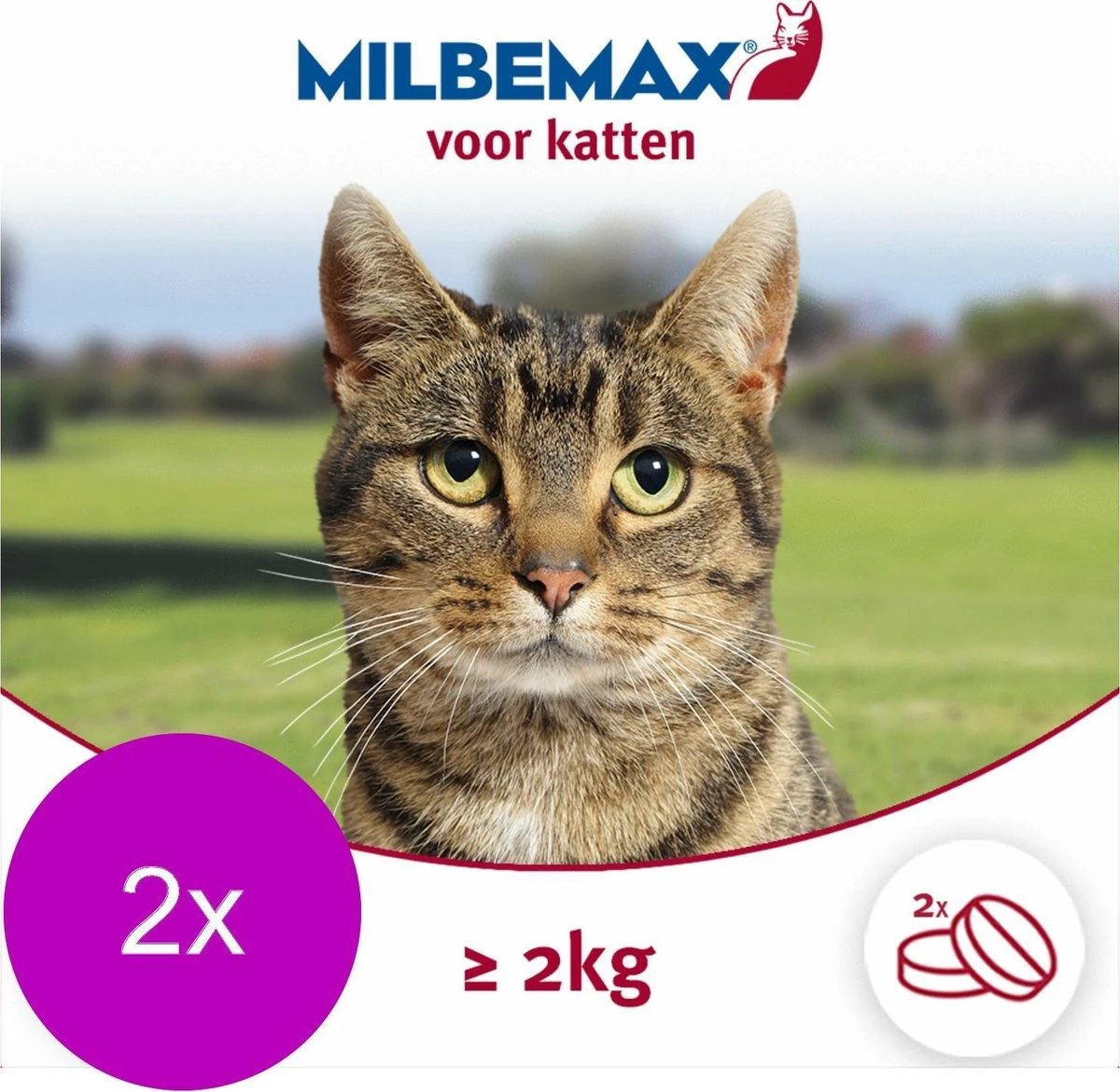 Elanco Milbemax Kat - Anti Wormenmiddel - 2 X 2 Tab 2-8kg 5 Elanco Milbemax Kat - Anti Wormenmiddel - 2 X 2 Tab 2-8kg - Afbeelding 3