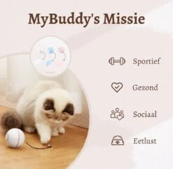 MyBuddy - Interactieve Zelf Rollende Bal - Kattenspeeltjes - Kattenspeelgoed - Bal Voor Katten - LED Lights - Speelgoed - USB - Roze -Huisdier Verkoop 1200x1171 16