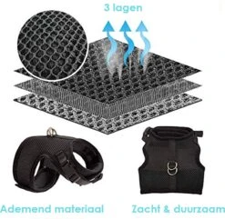 Kattentuigje Met Leiband Riem Kattenharnas Paars Maat M Kat & Kitten - Dieren Kattenriem - Cat Leash - Halsomvang 20 Tot 26cm - Borstomvang 30 Tot 34cm - Zootic® -Huisdier Verkoop 1200x1171 19