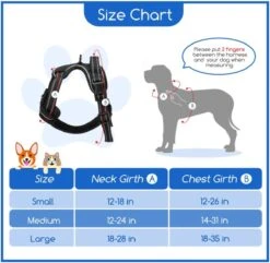 Nobleza 42ZHY - Hondenharnas - Hondentuigje - Anti Trek - L - Zwart -Huisdier Verkoop 1200x1172 8