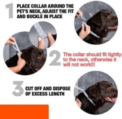 Igoods Vlooienband Hond - Vlooienband Kat - Alle Honden & Katten - One Size Fits All - Anti Vlooien En Tekenmiddel - Tekenband - 8 Maanden Bescherming - Diervriendelijk 22 Igoods Vlooienband Hond - Vlooienband Kat - Alle Honden & Katten - One Size Fits All - Anti Vlooien En Tekenmiddel - Tekenband - 8 Maanden Bescherming - Diervriendelijk -Huisdier Verkoop 1200x1173 14