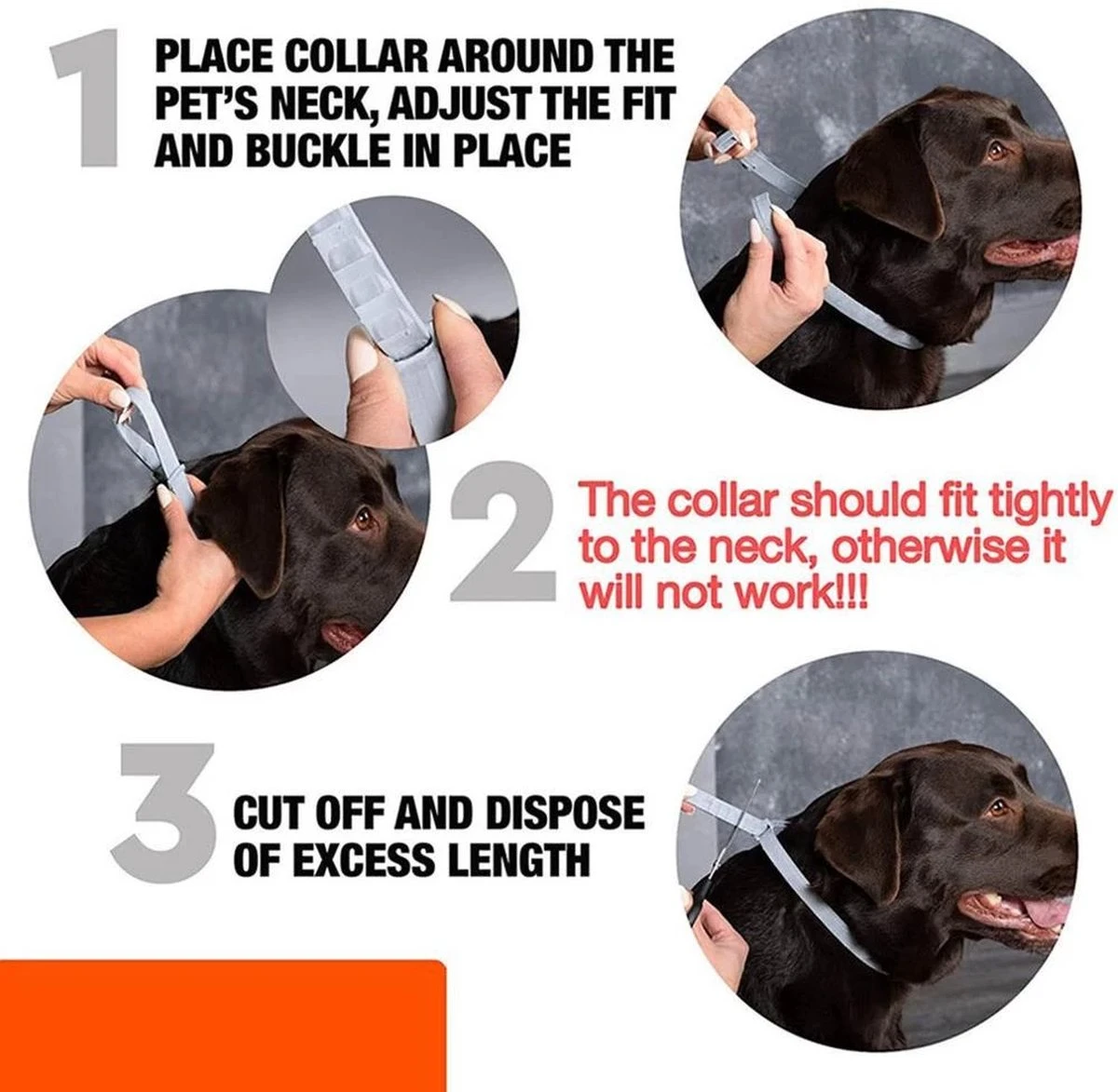 Igoods Vlooienband Hond - Vlooienband Kat - Alle Honden & Katten - One Size Fits All - Anti Vlooien En Tekenmiddel - Tekenband - 8 Maanden Bescherming - Diervriendelijk 12 Igoods Vlooienband Hond - Vlooienband Kat - Alle Honden & Katten - One Size Fits All - Anti Vlooien En Tekenmiddel - Tekenband - 8 Maanden Bescherming - Diervriendelijk - Afbeelding 10