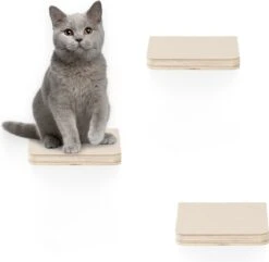 Navaris Katten Klimmuur 3 Tredes - 18 X 18 X 1,5 Cm Per Plankje - Katten Klimwand Van Hout - Inclusief Bevestigingsmateriaal 10 Navaris Katten Klimmuur 3 Tredes - 18 X 18 X 1,5 Cm Per Plankje - Katten Klimwand Van Hout - Inclusief Bevestigingsmateriaal -Huisdier Verkoop 1200x1173 24