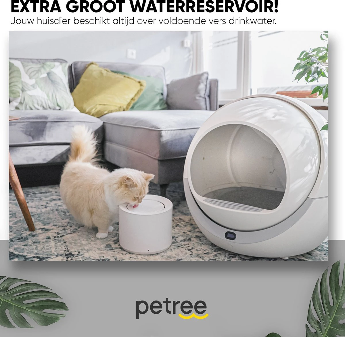 Petree Drinkfontein - Kat - Hond - Viervoudige Filtersysteem - UV-lamp - Drinkbakken - Dieren - Fluisterstil (1.8L) 9 Petree Drinkfontein - Kat - Hond - Viervoudige Filtersysteem - UV-lamp - Drinkbakken - Dieren - Fluisterstil (1.8L) - Afbeelding 7