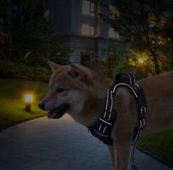 Nobleza 42ZHY - Hondenharnas - Hondentuigje - Anti Trek - L - Zwart -Huisdier Verkoop 1200x1174 8