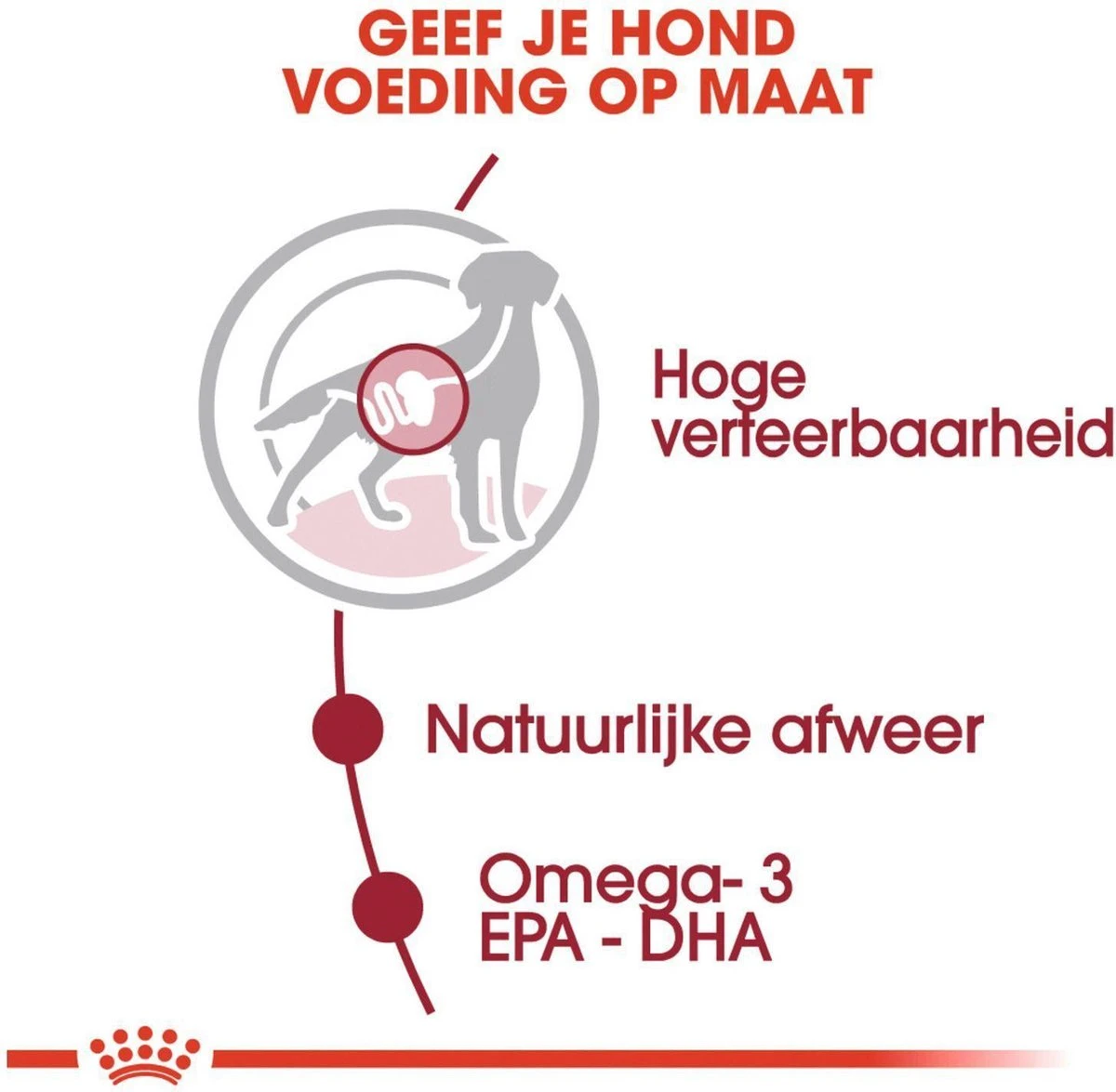 Royal Canin Shn Medium Adult Pouch - Hondenvoer - 10 X 140 G 7 Royal Canin Shn Medium Adult Pouch - Hondenvoer - 10 X 140 G - Afbeelding 5