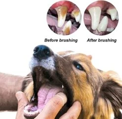 Doodadeals® 4 Stuks Siliconen Honden Tandenborstel - Tanden Borstel Hond - Silicone Dog Tootbrush - Multikleur -Huisdier Verkoop 1200x1175 9