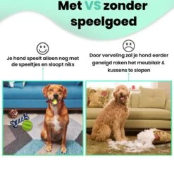 Petloverz – Honden Speelgoed Set – Honden Speeltjes – Knuffel - Speelgoed – Intelligentie – 15 Speeltjes -Huisdier Verkoop 1200x1177 9