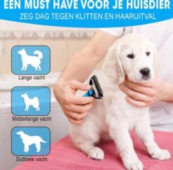 Professionele Ondervacht Kam Voor Hond En Kat S – Hondenborstel – Kattenborstel - Hondenkam –Anti Klit - Haarverwijderaar Voor Huisdieren - Pijnloos - Huisdiervriendelijk – Klittenkam - Voorkomt Haaruitval - Kleine Variant- Black Friday - Sinterklaas 10 Professionele Ondervacht Kam Voor Hond En Kat S – Hondenborstel – Kattenborstel - Hondenkam –Anti Klit - Haarverwijderaar Voor Huisdieren - Pijnloos - Huisdiervriendelijk – Klittenkam - Voorkomt Haaruitval - Kleine Variant- Black Friday - Sinterklaas -Huisdier Verkoop 1200x1178 10