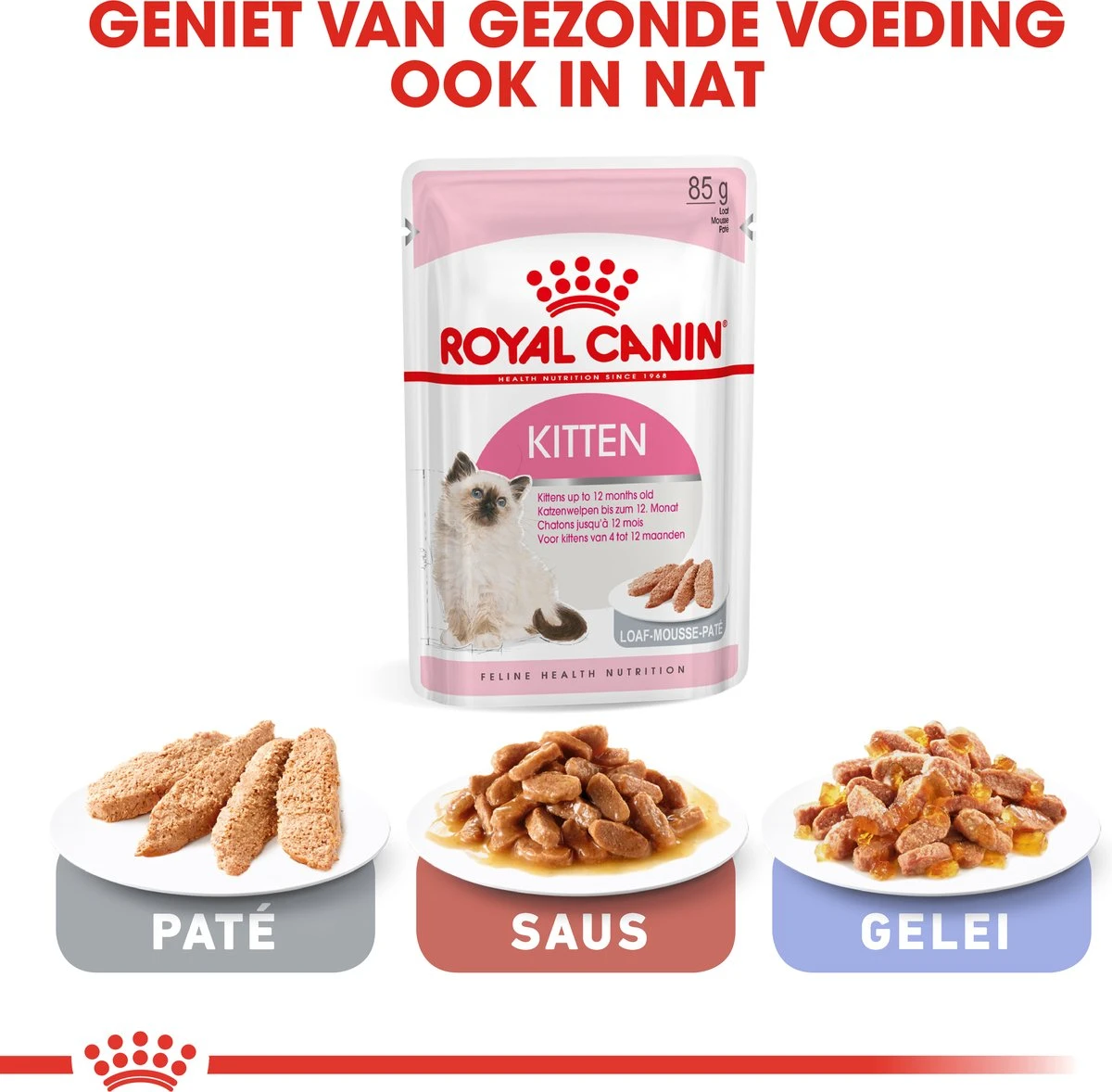 Royal Canin Kitten - Kittenvoer - 2 Kg 11 Royal Canin Kitten - Kittenvoer - 2 Kg - Afbeelding 9