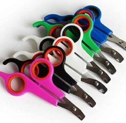 Doodadeals® | Nagelschaar Kat | Nagelschaar Hond | Nagelschaar Konijn | Nagelschaar Cavia | Multi Color | 1 Stuk 9 Doodadeals® | Nagelschaar Kat | Nagelschaar Hond | Nagelschaar Konijn | Nagelschaar Cavia | Multi Color | 1 Stuk -Huisdier Verkoop 1200x1178 8