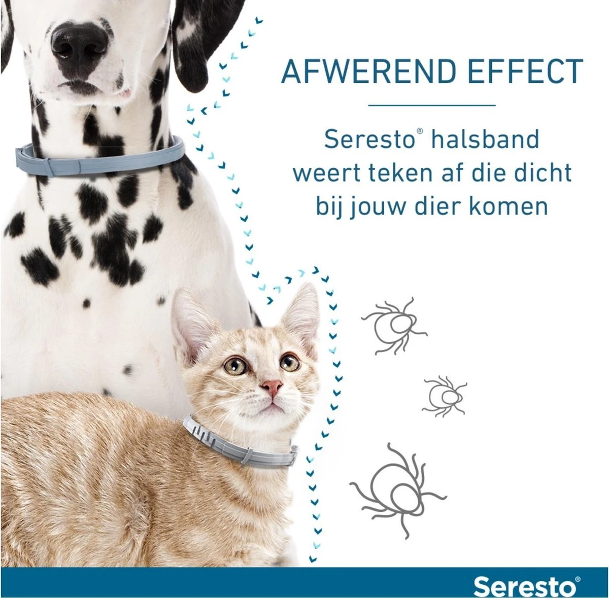 Seresto Vlooien En Tekenband - Kleine Hond - 0 Tot 8 Kg 17 Seresto Vlooien En Tekenband - Kleine Hond - 0 Tot 8 Kg - Afbeelding 15