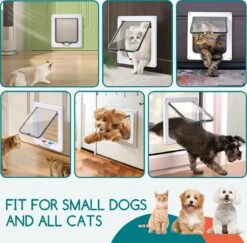 Nobleza Kattenluik Met Tunnel - 4 Vergrendelingsstanden - Weerbestendig - Binnen En Buiten - 20.5 X 19.7 Cm - Maat M - Wit -Huisdier Verkoop 1200x1179 22