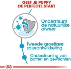 Royal Canin Giant Junior 15 KG 21 Royal Canin Giant Junior 15 KG -Huisdier Verkoop 1200x1180 10