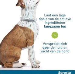 Seresto Vlooien En Tekenband - Kleine Hond - 0 Tot 8 Kg 28 Seresto Vlooien En Tekenband - Kleine Hond - 0 Tot 8 Kg -Huisdier Verkoop 1200x1180 12