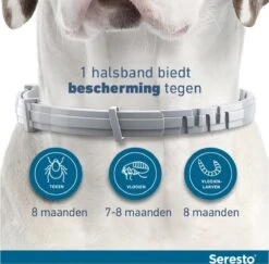 Seresto Vlooien En Tekenband - Kleine Hond - 0 Tot 8 Kg 34 Seresto Vlooien En Tekenband - Kleine Hond - 0 Tot 8 Kg -Huisdier Verkoop 1200x1180 13