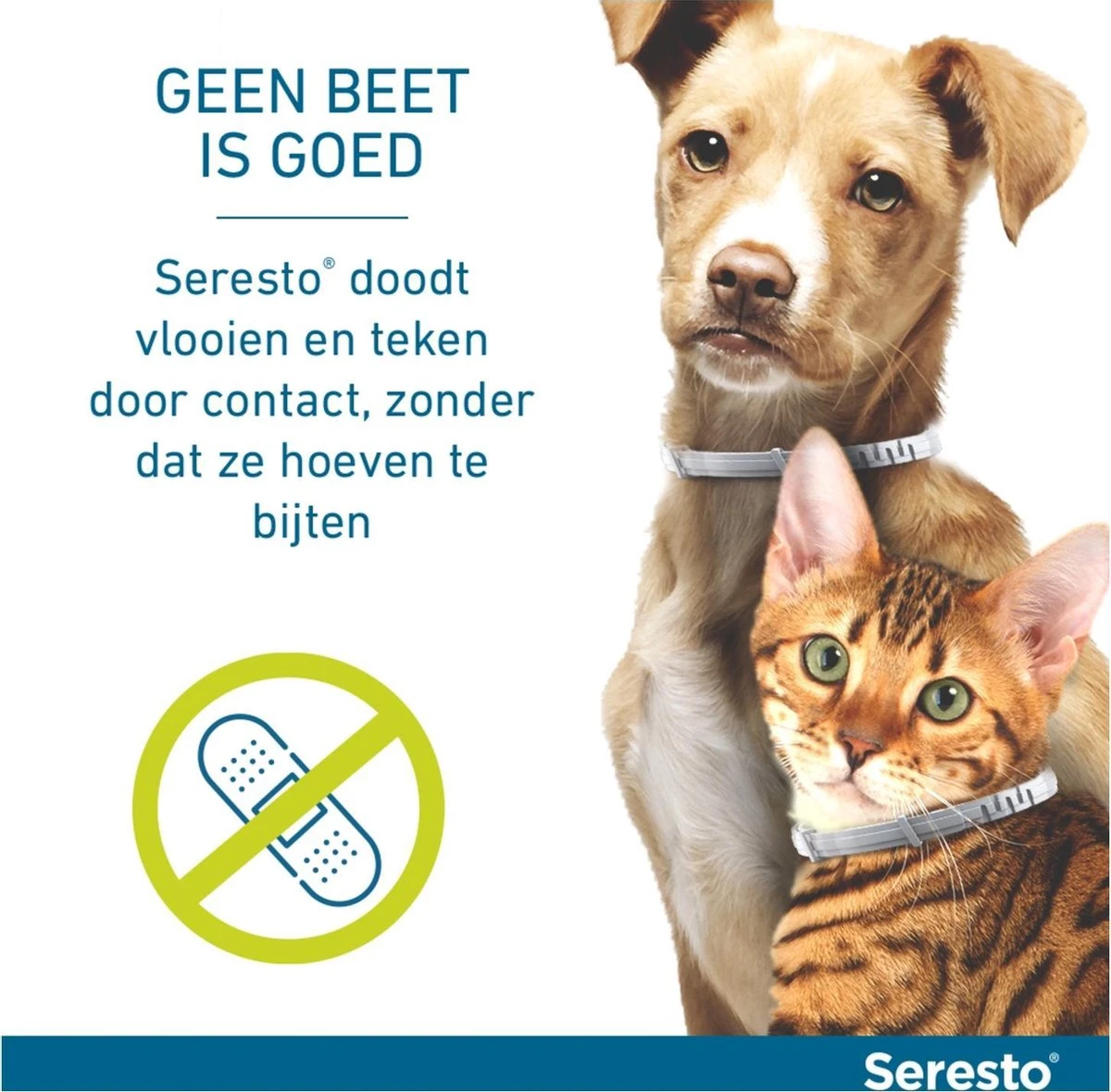 Seresto Vlooien En Tekenband - Kleine Hond - 0 Tot 8 Kg 19 Seresto Vlooien En Tekenband - Kleine Hond - 0 Tot 8 Kg - Afbeelding 17
