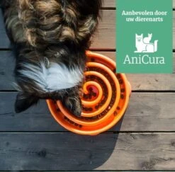 Outward Hound Slo Bowl Fun Feeder Voerbak - Anti Schrok Voerbak - Voerbak Slo-Bowl Mini Drop Teal Lichtblauw - 22X22X5 CM -Huisdier Verkoop 1200x1182 11