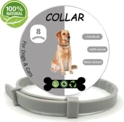 Igoods Vlooienband Hond - Vlooienband Kat - Alle Honden & Katten - One Size Fits All - Anti Vlooien En Tekenmiddel - Tekenband - 8 Maanden Bescherming - Diervriendelijk 21 Igoods Vlooienband Hond - Vlooienband Kat - Alle Honden & Katten - One Size Fits All - Anti Vlooien En Tekenmiddel - Tekenband - 8 Maanden Bescherming - Diervriendelijk -Huisdier Verkoop 1200x1182 13