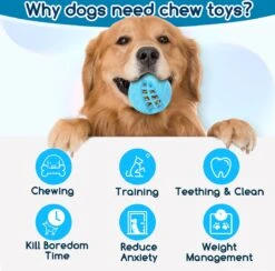 Nobleza Honden Speelgoed - Hondenspeeltjes - Hondenbal - Hondenspeelgoed - Honden Bal - Snackbal Hond - Kauwspeelgoed - Blauw - 8 Cm -Huisdier Verkoop 1200x1183 7