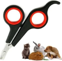 Noix Katten Nagelknipper - Nagelschaar - Dieren Nagelschaartje - Geschikt Voor De Kat 14 Noix Katten Nagelknipper - Nagelschaar - Dieren Nagelschaartje - Geschikt Voor De Kat -Huisdier Verkoop 1200x1184 21