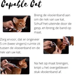 Capable Cat Vlooienband Kat | Vlooien | Luizen | Teken | Mijten | 8 Maanden Bescherming | Katten 14 Capable Cat Vlooienband Kat | Vlooien | Luizen | Teken | Mijten | 8 Maanden Bescherming | Katten -Huisdier Verkoop 1200x1186 26