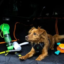 Mister Mill Drinkfles Hond - Honden Bidon - Waterfles - 500ML + 50ML Voeropslag + Poepzakjes Container -Huisdier Verkoop 1200x1188 8