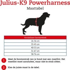 Julius K9 Original Powertuig/Harnas - Fuchsia - S - Mini/49-67cm -Huisdier Verkoop 1200x1189 11